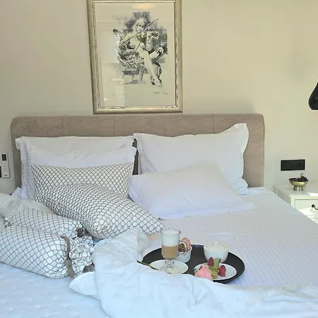 Villa Palace Al Nera 1 Deluxe By The Sea Swimming Pool Trogir